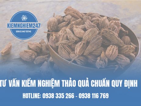 Tư vấn kiểm nghiệm Thảo quả chuẩn quy định