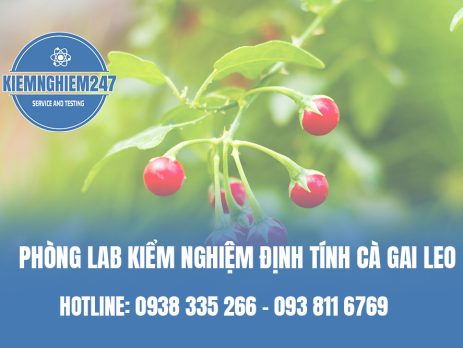 Phòng lab kiểm nghiệm định tính cà gai leo uy tín