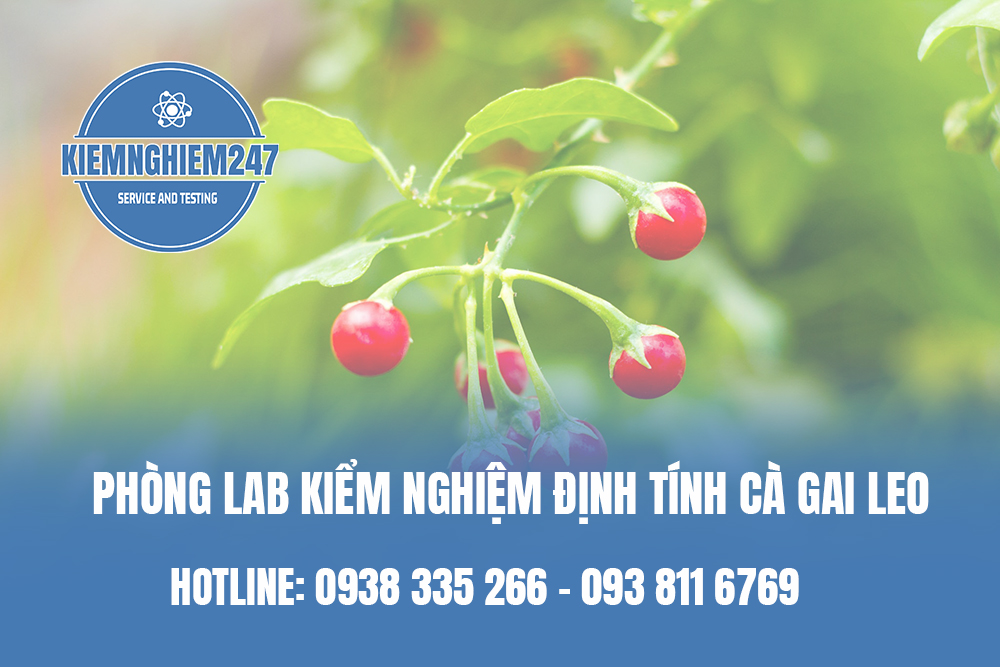 Phòng lab kiểm nghiệm định tính cà gai leo uy tín