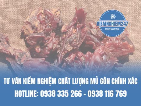 Tư vấn kiểm nghiệm chất lượng mủ gòn chính xác