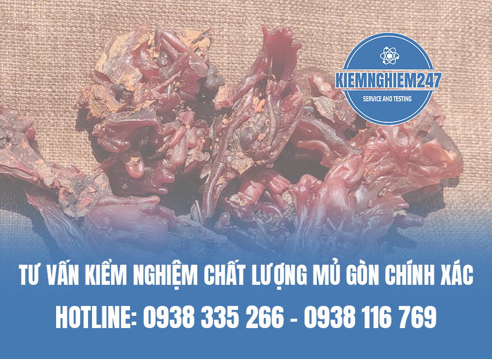 Tư vấn kiểm nghiệm chất lượng mủ gòn chính xác