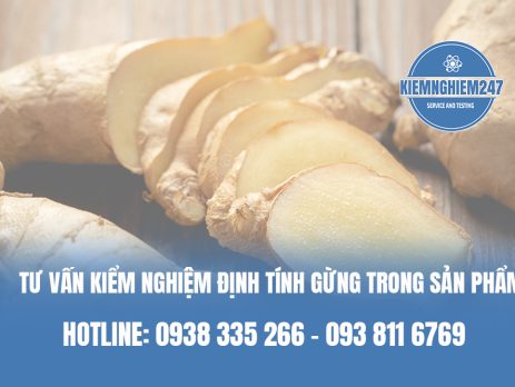 Tư vấn kiểm nghiệm định tính gừng trong sản phẩm