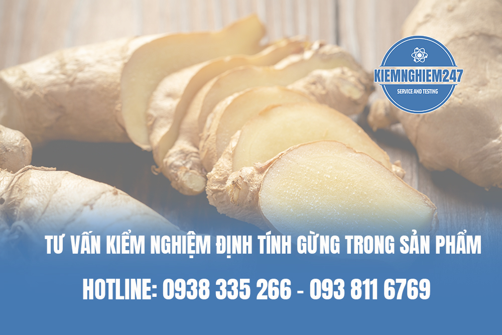 Tư vấn kiểm nghiệm định tính gừng trong sản phẩm