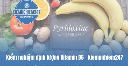 Kiểm nghiệm định lượng Vitamin B6 – kiemnghiem247