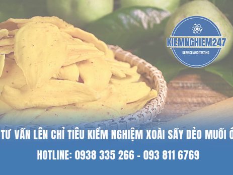 Tư vấn lên chỉ tiêu kiểm nghiệm xoài sấy dẻo muối ớt