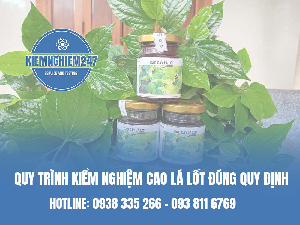 Quy trình kiểm nghiệm cao lá lốt đúng quy định