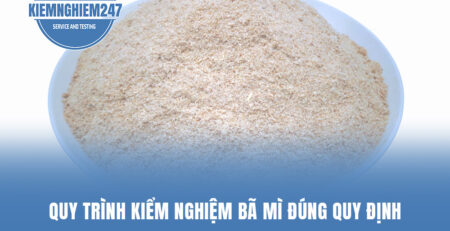 Quy trình kiểm nghiệm miếng bã mì đúng quy định