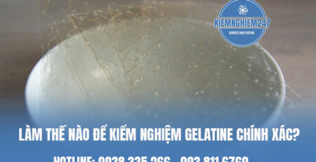 Làm thế nào để kiểm nghiệm gelatine chính xác ?