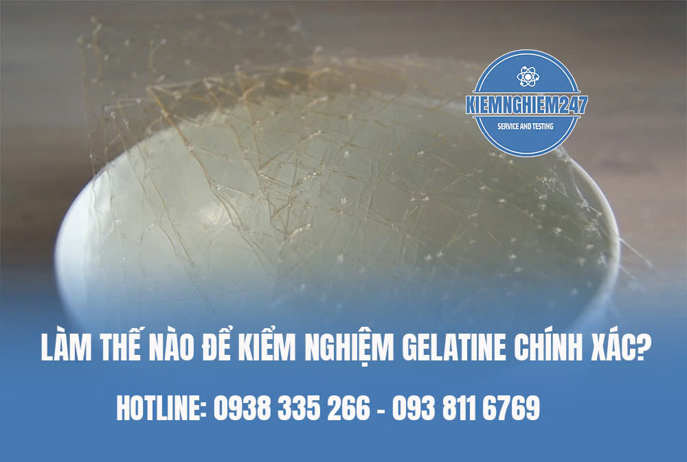 Làm thế nào để kiểm nghiệm gelatine chính xác ?