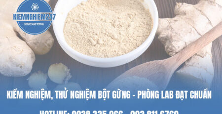 Kiểm nghiệm, thử nghiệm bột gừng - Phòng lab đạt chuẩn