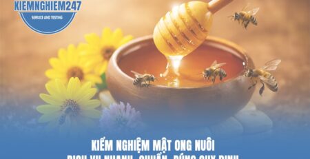 dich-vu-kiem-nghiem-mat-ong-nuoi-nhanh-chuan-dung-quy-dinh