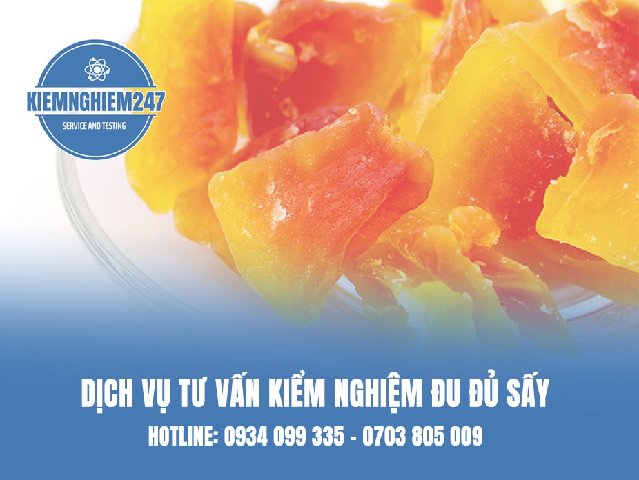 Dịch vụ tư vấn kiểm nghiệm đu đủ sấy
