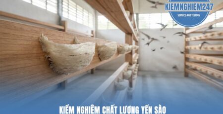 Tiêu chuẩn chất lượng Yến sào: Các chỉ tiêu Kiểm nghiệm protein & vi sinh bắt buộc để khẳng định yến thật.