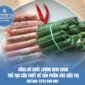 Thủ tục công bố chất lượng nem chua để đưa vào siêu thị
